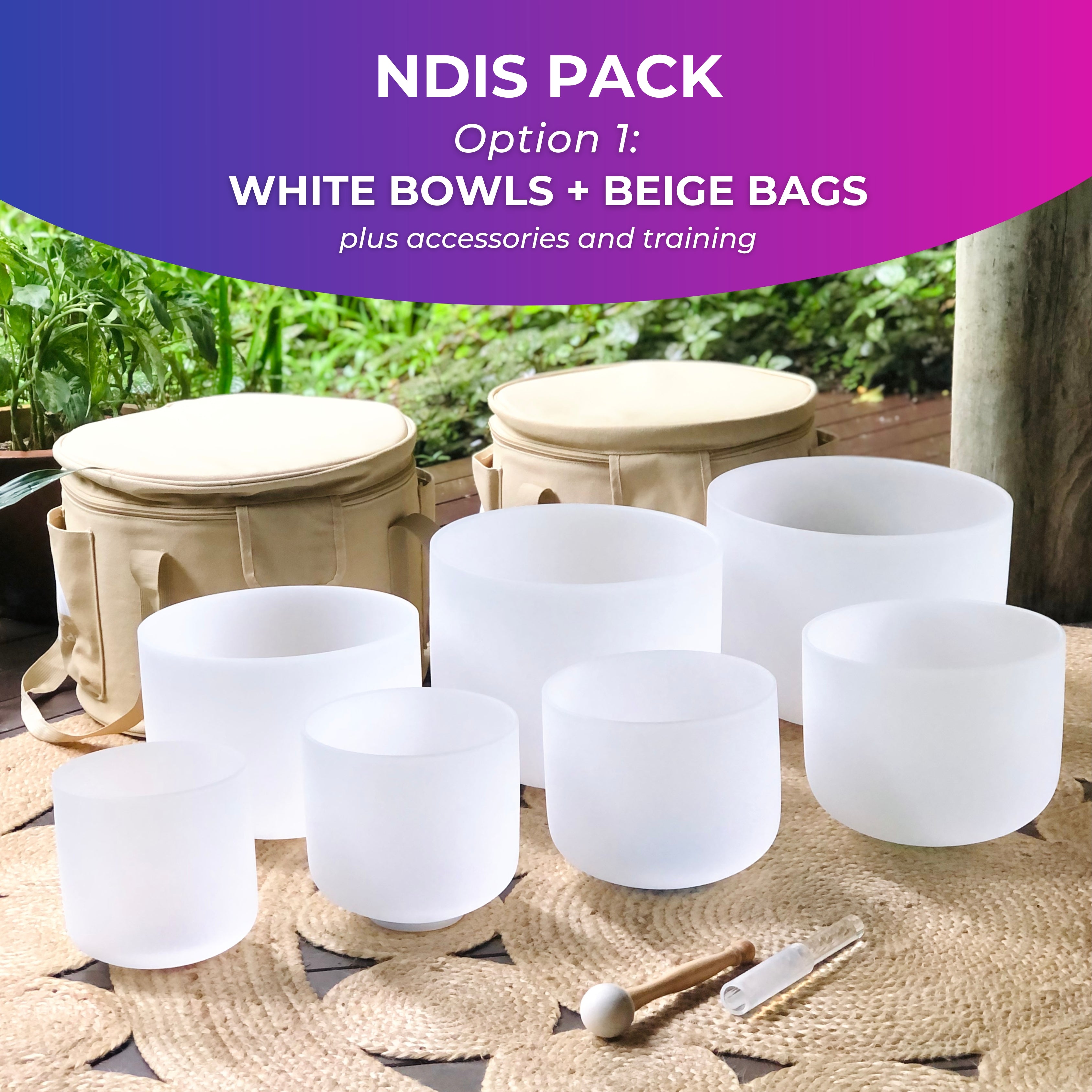 NDIS Sound Therapy Tools + Online Training Pack