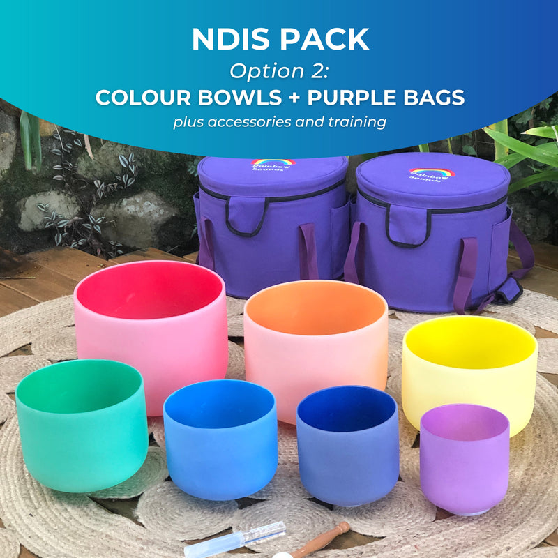 NDIS Sound Therapy Tools + Online Training Pack